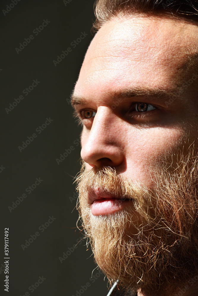 Fototapeta premium Vertical close-up of brutal man with ginger thick beard, looks thoughtfully aside, posing over black background.