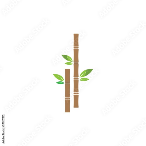 Sugar cane plant logo vector