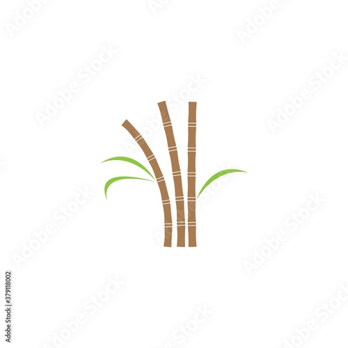 Sugar cane plant logo vector