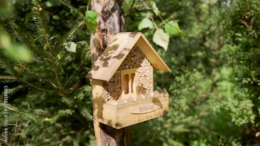 Panning shot of a bee hotel, Insect hotel on the tree in an orchard Panning shot of a bee hotel, Insect hotel on the tree in an orchard