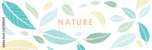 Vector illustration of leaves nature background