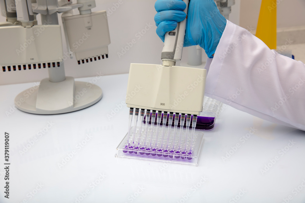 Multi channel pipette loading biological samples in microplate for test