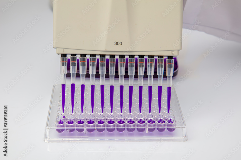 Multi channel pipette loading biological samples in microplate for test