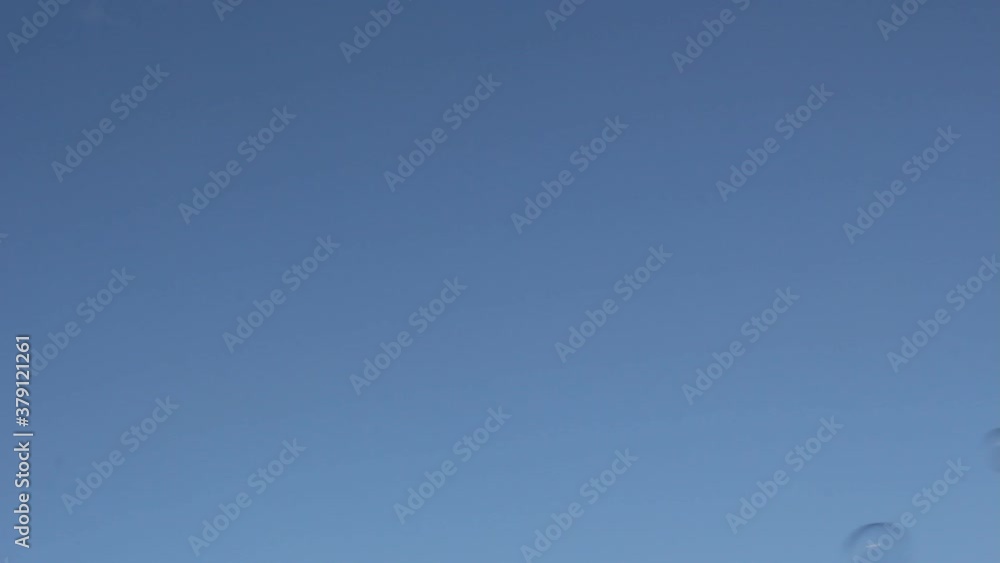 bubble floating background soapy copy bubble bubbles floating soap drift in blue sky with clouds stock, photo, photograph, picture, image space - stock footage video bubble floating background soapy copy bubble bubbles floating soap drift in blue sky with clouds stock, photo, photograph, picture, image space - stock footage video