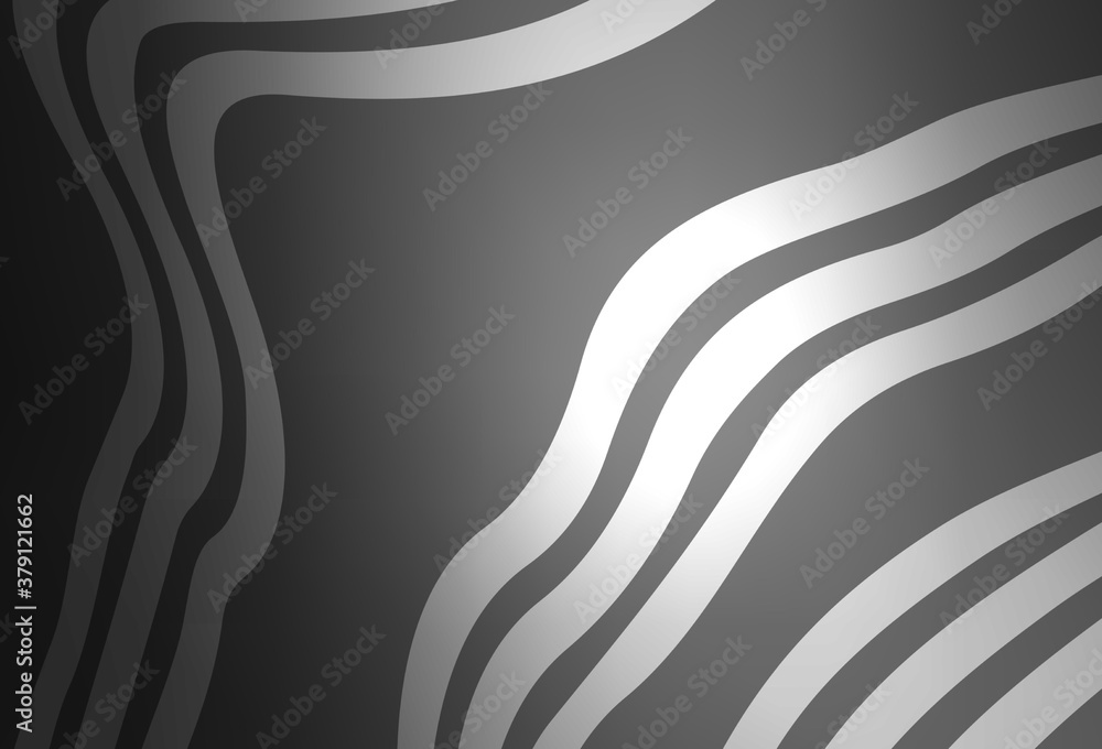 Light Gray vector layout with curved lines. Light Gray vector layout with curved lines.