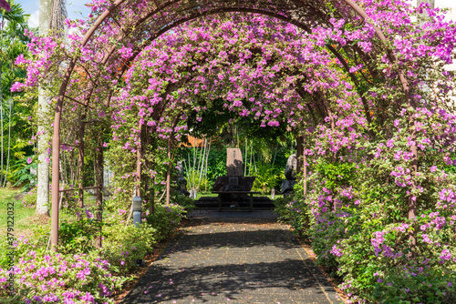 Photography Flower tunnel at the Japanese Cemetery Park.