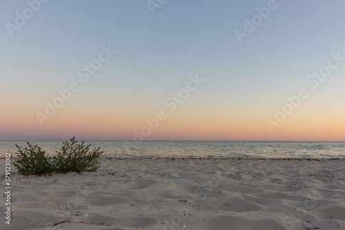 Beautiful sunset on the beach with grass. Calm evening over the sea. Colorful evening sky on island. Seaside landscape.  White sand beach and calm sea in evening dusk. Summer vacation.