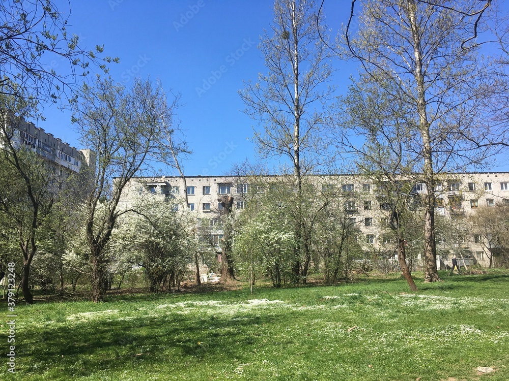 Sunny park path with flowering meadow building on background Sunny park path with flowering meadow building on background