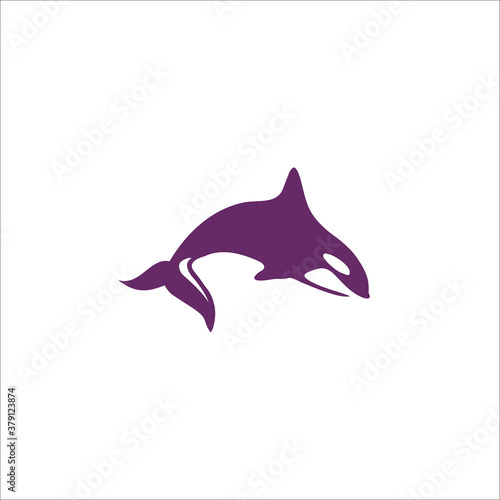 dolphin logo design template silhouette vector icon
