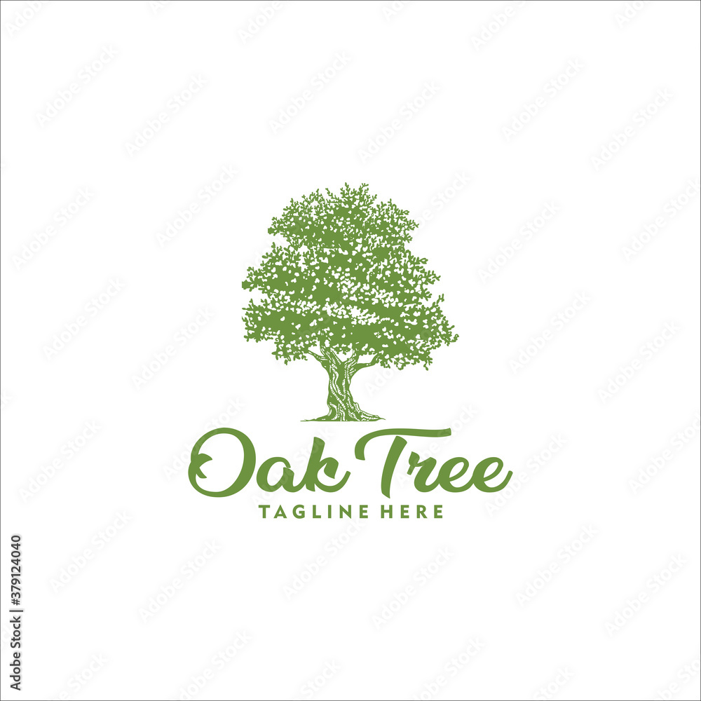Obraz premium oak tree logo design template silhouette vector icon