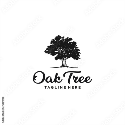 oak tree logo design template silhouette vector