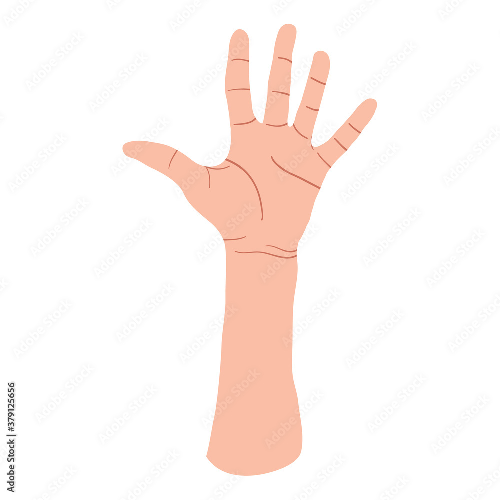 Hand showing five fingers, high five sign. Communication gestures concept. Vector flat design in cartoon style. Isolated on white background. Hand showing five fingers, high five sign. Communication gestures concept. Vector flat design in cartoon style. Isolated on white background.