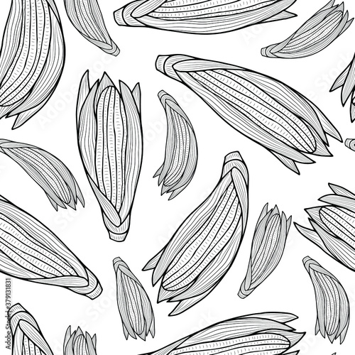 Monochrome corn cobs on a white background. Vector outlines seamless pattern. Autumn vegetables.