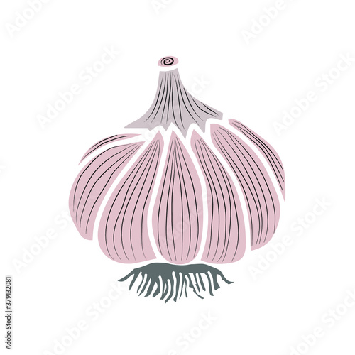 Sketch of garlic. Healthy vegetables. Vector image for design.
