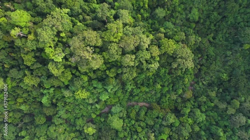 Beautiful lush rainforest filmen with drone from above in Gunung Leuser National Park, the Tropical Rainforest Heritage of Sumatra, Indonesia - aerial shot photo