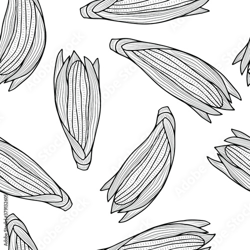 Monochrome corn cobs on a white background. Vector outlines seamless pattern. Autumn vegetables.