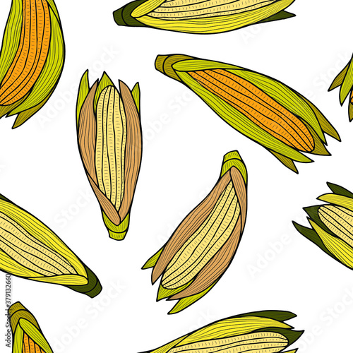 Ears of ripe corn on a white background. Vector seamless pattern. Autumn vegetable harvest.