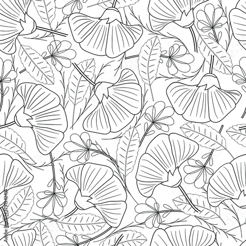 Wallpaper Mural Ornate floral seamless pattern. Monochrome outlines blossoms, leaves and simple plants on a white background. Design for coloring page, cloth, print, wrapping.  Torontodigital.ca
