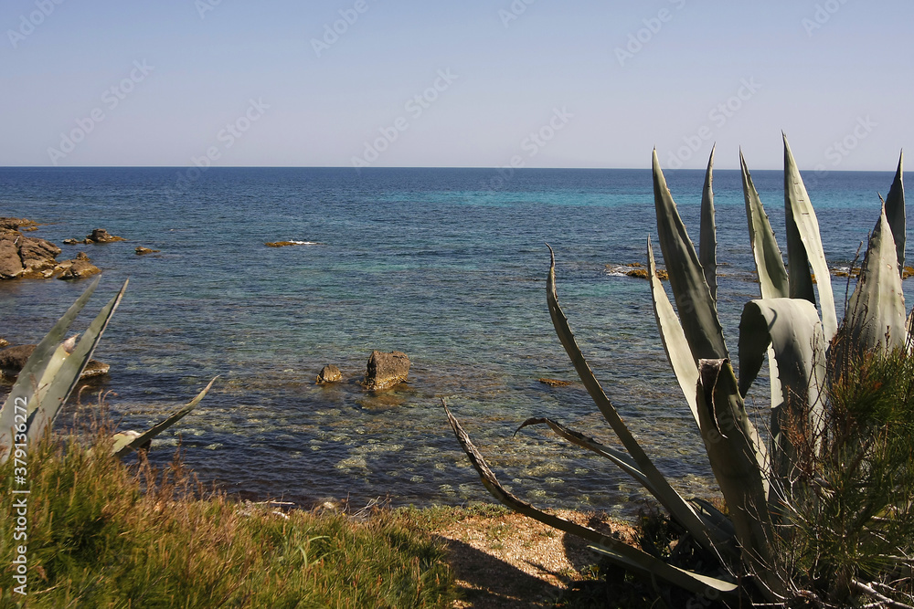 Mallorca Impressionen