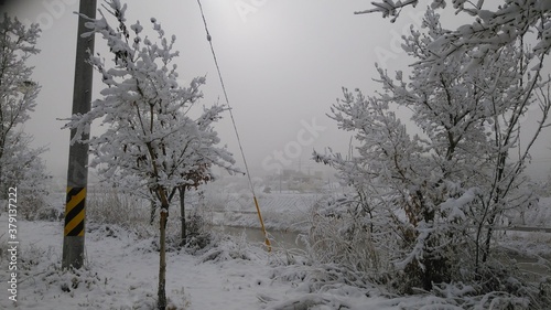 Fototapeta Naklejka Na Ścianę i Meble -  눈 풍경 나무 겨울 쌓인 눈 제설 마을
