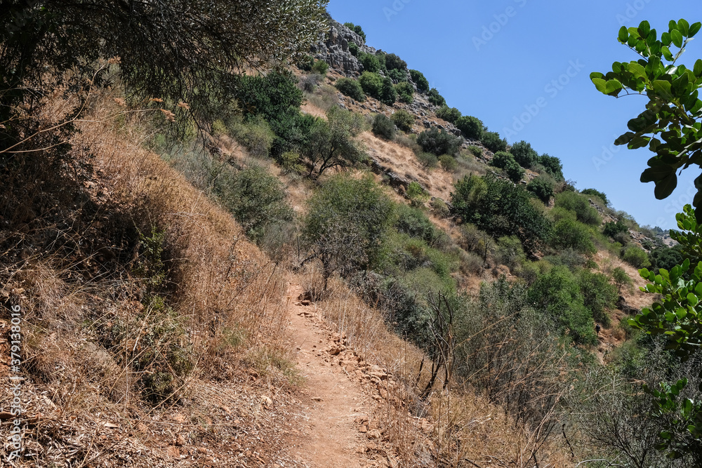 On hiking trail in Nahal Amud [Amud Stream]  Nature Reserve, the most attractive hiking trail in Upper Galilee, Northern Israel, Israel.