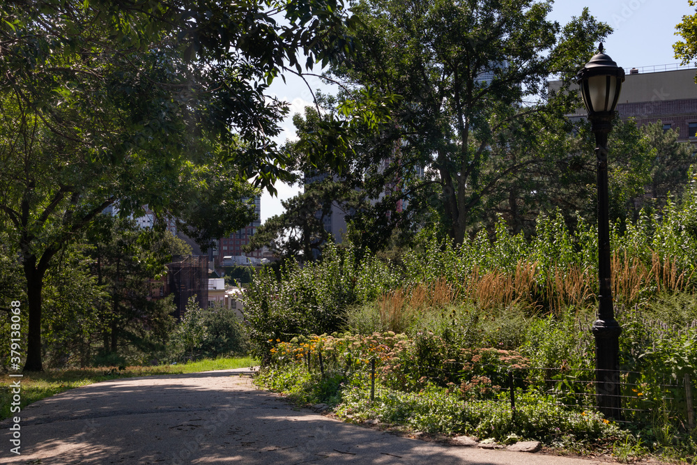 Fort Greene Park Trail with Green Trees and Plants during Summer in Fort Greene Brooklyn New York