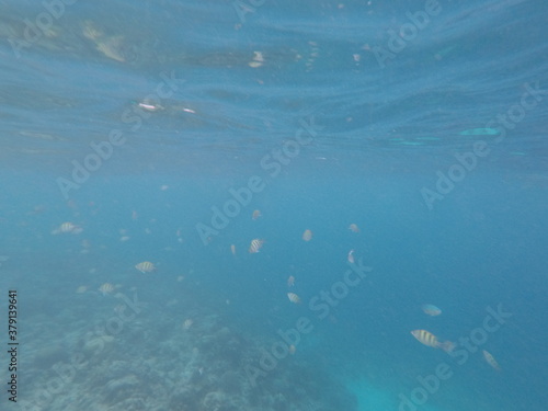 Wallpaper Mural DCIM\100GOPRO\GOPR7087.JPG Torontodigital.ca