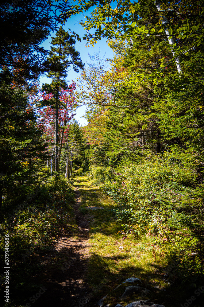 forest in autumn
Griffith Lake 9.19.20