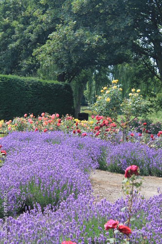 Jardin Kings Park à Retford