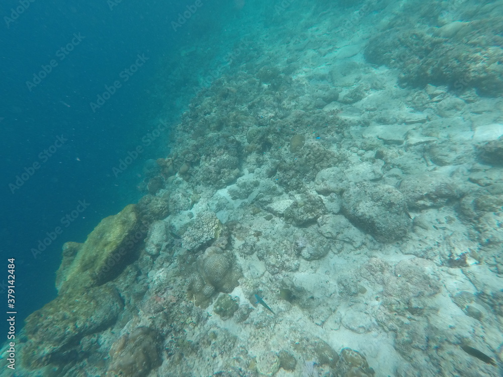 DCIM\100GOPRO\GOPR7126.JPG DCIM\100GOPRO\GOPR7126.JPG