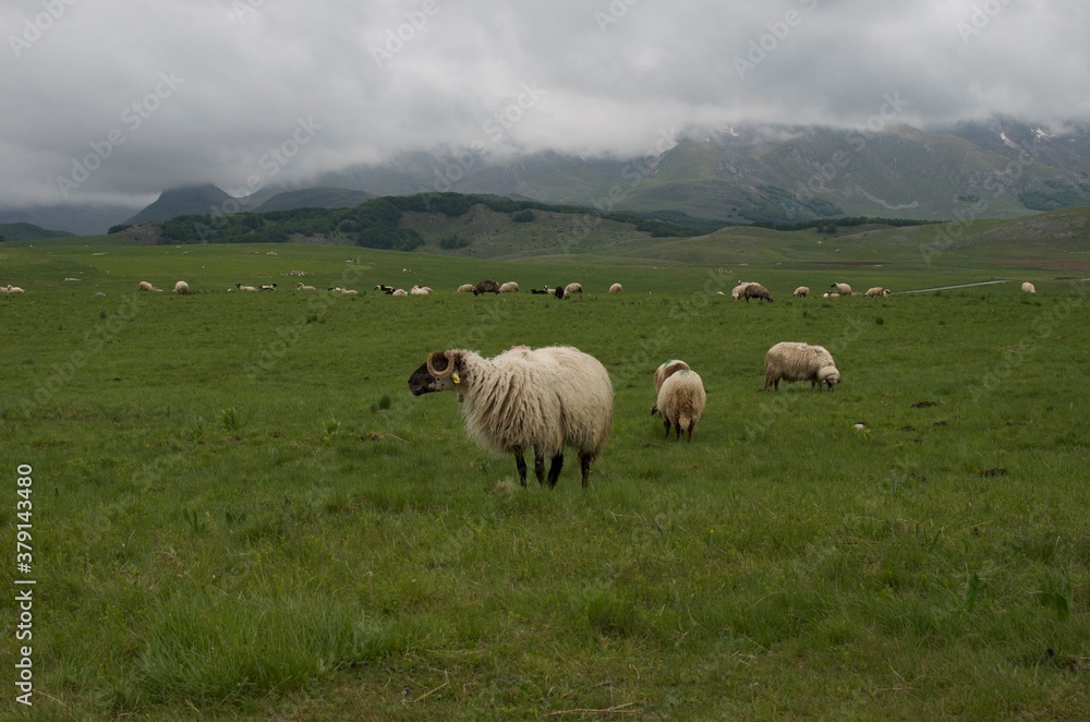 Durmitor national park and Piva Lake in Mountains of Montenegro Durmitor national park and Piva Lake in Mountains of Montenegro
