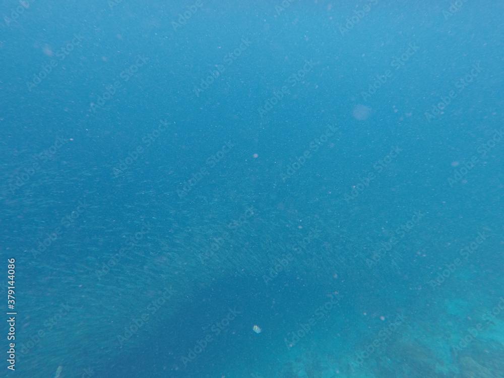 DCIM\100GOPRO\GOPR7101.JPG DCIM\100GOPRO\GOPR7101.JPG