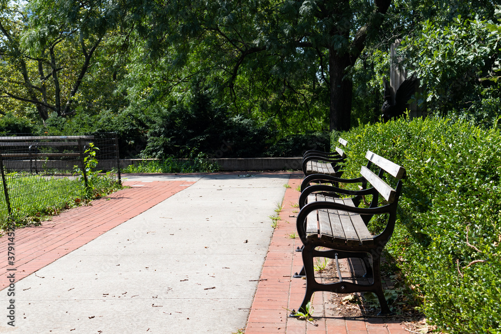 Empty Benches at Fort Greene Park in Fort Greene Brooklyn New York during Summer with Green Plants Empty Benches at Fort Greene Park in Fort Greene Brooklyn New York during Summer with Green Plants