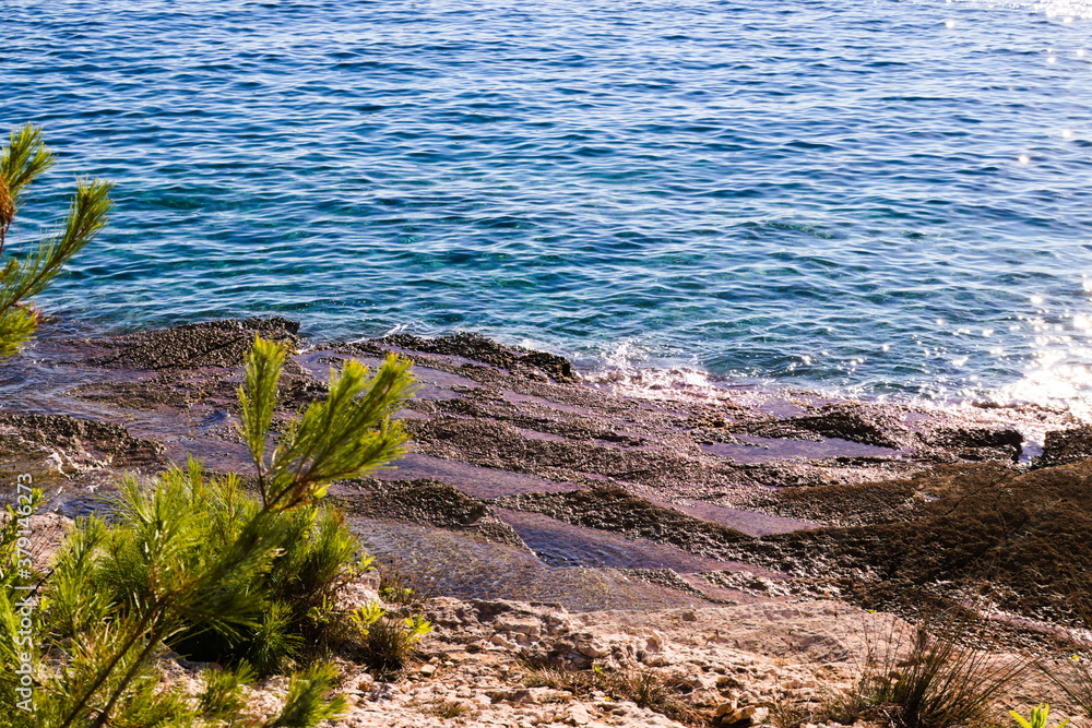 Rencontre des vagues d'une belle mer calme et turquoise, avec une plage rocheuse, par temps ensoleillé, avec au premier plan des branches d'abres floutées