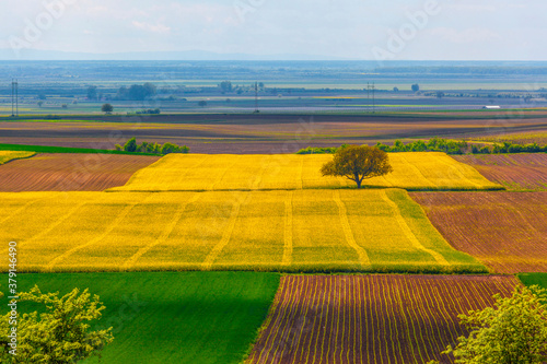 Summer landscape in Serbia, Europe