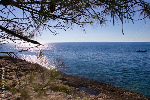 Vue d'une belle et calme mer turquoise, par temps ensoleillé, depuis une plage rocheuse, encadré par les branches d'un arbre © Lau