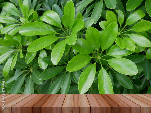 water drop on green grass and wooden table for product display