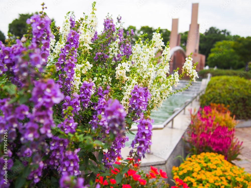 © kanahina - 緑ときれいな花が咲き乱れる愛知県一宮市の公園