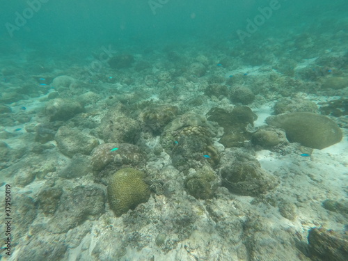 Wallpaper Mural DCIM\100GOPRO\GOPR7224.JPG Torontodigital.ca