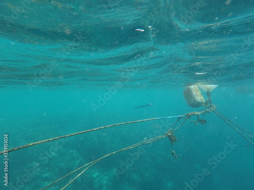 Wallpaper Mural DCIM\100GOPRO\GOPR7105.JPG Torontodigital.ca