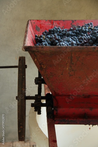 Bilde på lerret Grapes crushing and pressing