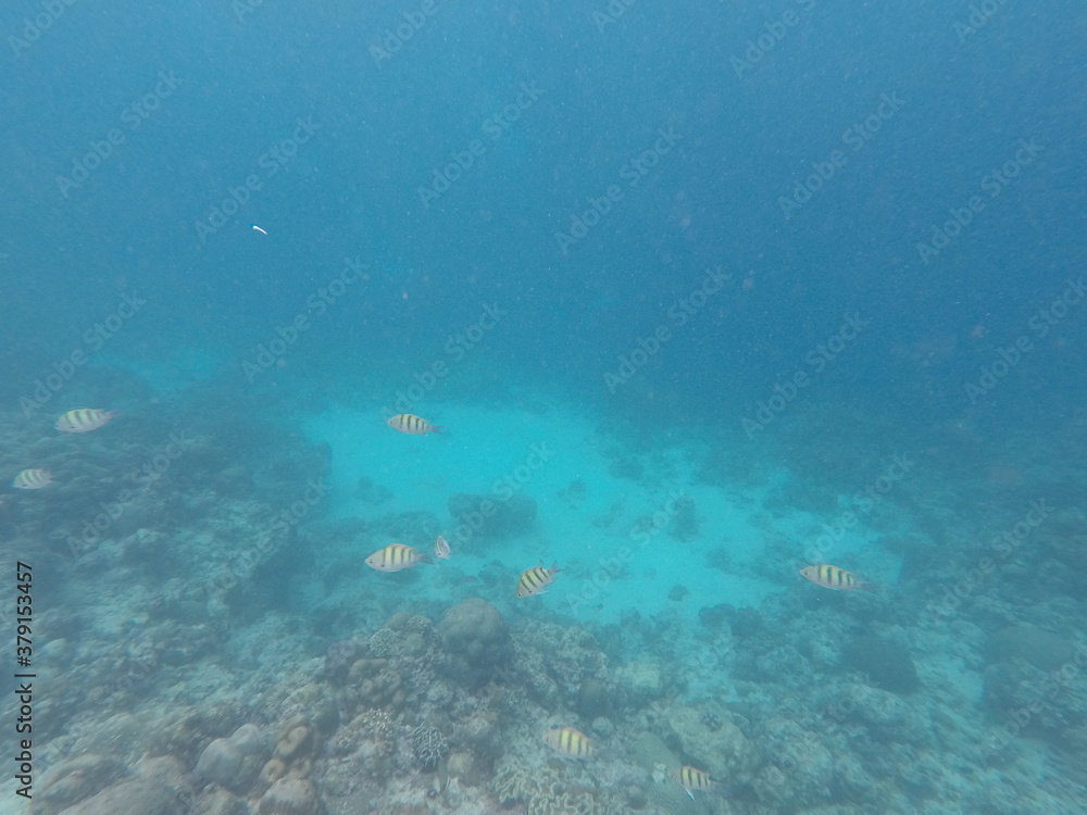 Fototapeta premium DCIM\100GOPRO\GOPR7089.JPG