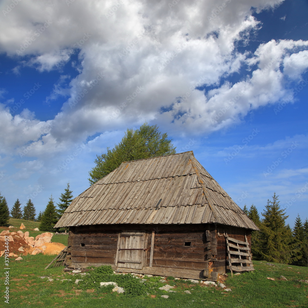 Beautiful Tara Mountain in Serbia Beautiful Tara Mountain in Serbia