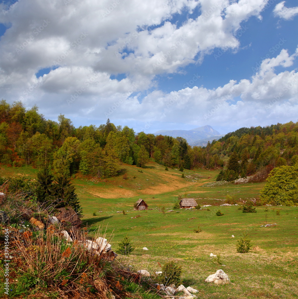 Beautiful Tara Mountain in Serbia Beautiful Tara Mountain in Serbia