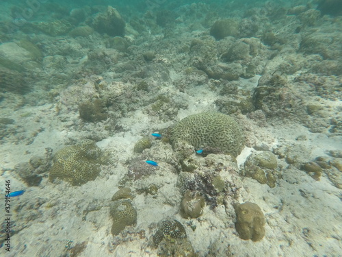 Wallpaper Mural DCIM\100GOPRO\GOPR7167.JPG Torontodigital.ca