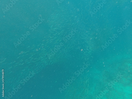 Wallpaper Mural DCIM\100GOPRO\GOPR7111.JPG Torontodigital.ca