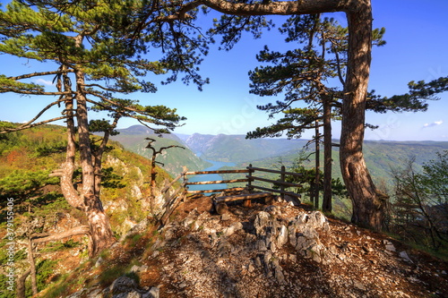 Banjska stena at Tara mountain