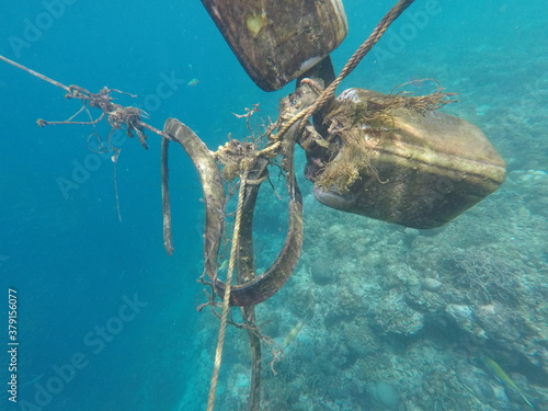 Wallpaper Mural DCIM\100GOPRO\GOPR7113.JPG Torontodigital.ca