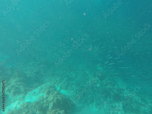 Wallpaper Mural DCIM\100GOPRO\GOPR7112.JPG Torontodigital.ca