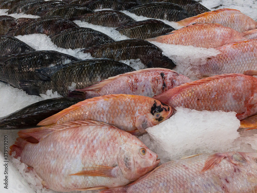 Fish is the fresh seafood nutrition available in market and supermarkets. photo